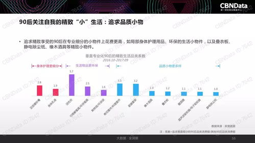 2017中國互聯(lián)網(wǎng)消費生態(tài)大數(shù)據(jù)報告 洞察變革，預(yù)見未來